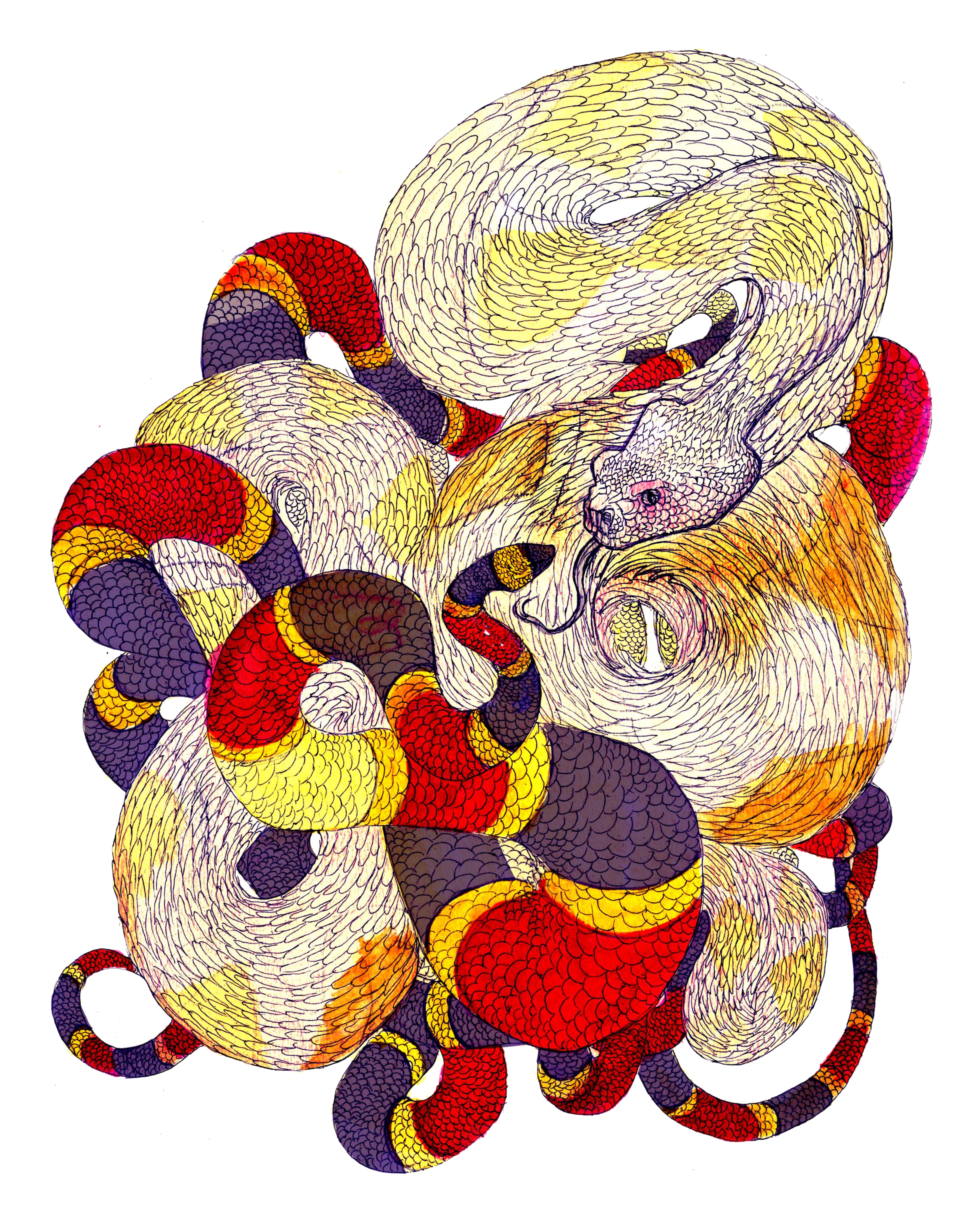 A colorful illustration of intertwined snakes with various scales, featuring vibrant patterns in red, yellow, purple, and white.